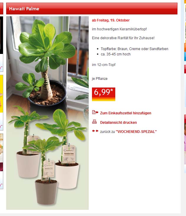 welcher dnger fr zimmerpflanzen Bio-Zimmer- & Grnpflanzendnger kaufen