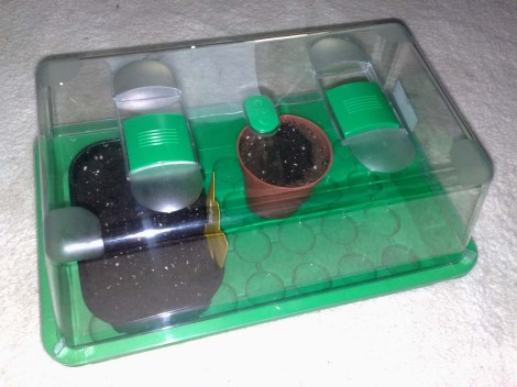 pomelo_granatapfel_kamelie_141112