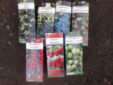 beeren_norma_120314_1