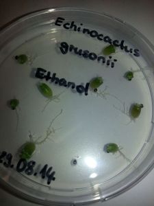 10422083_848709091839958_152661882375583328_n