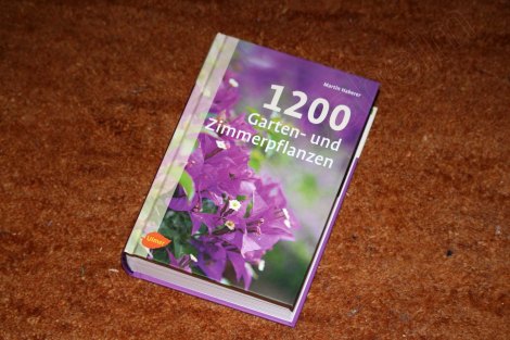 1200_garten_und_zimmerpflanzen_1