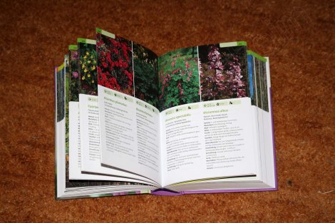 1200_garten_und_zimmerpflanzen_2