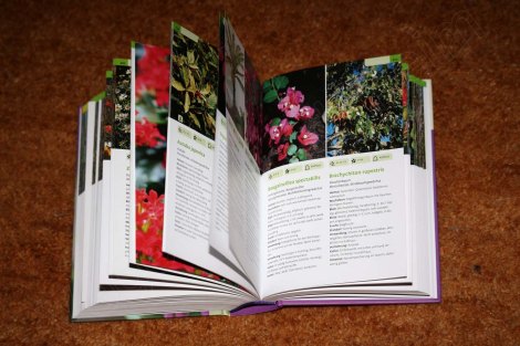 1200_garten_und_zimmerpflanzen_3